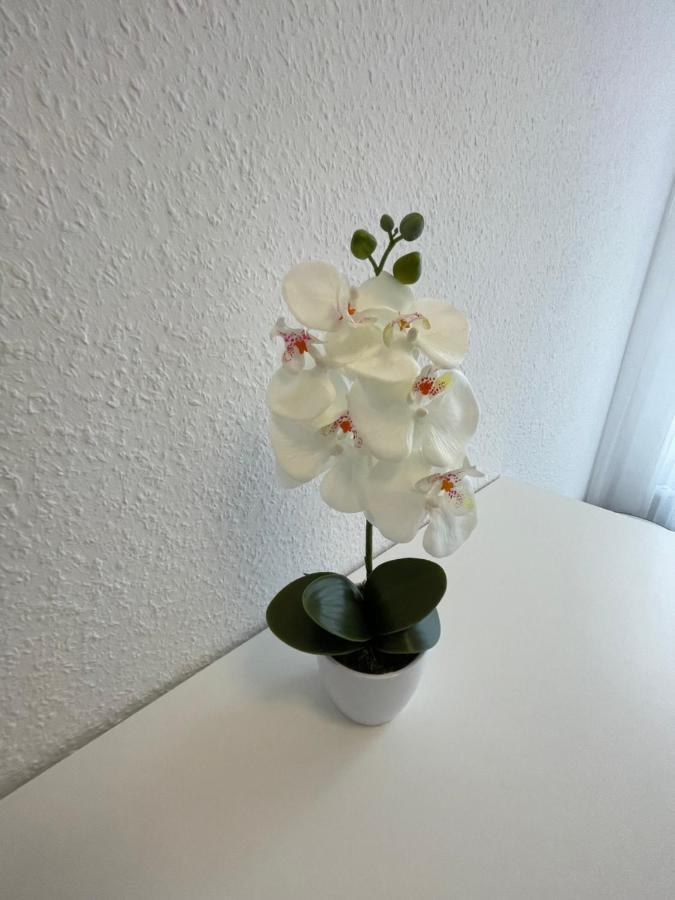 Lucky Stays Ls07 - Vollausstattung - Zentrum - Aufzug - Grosse Kueche - 2 Zimmer - Smart-Tv Магдебург Екстер'єр фото